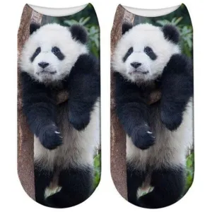 Free   Shipping 3D Panda Print Men & Women Cotton Socks Offers